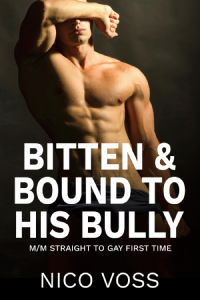 Bitten & Bound to His Bully Cover