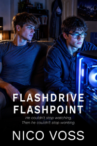 Flashdrive Flashpoint Cover
